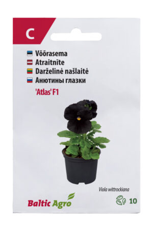 Võõrasema ‘Atlas’ F1 10s