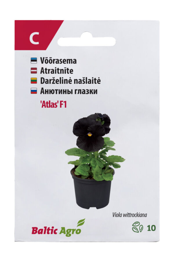 Võõrasema 'Atlas' F1 10s