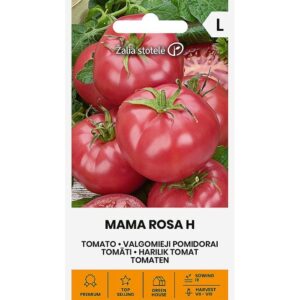 Lihatomat ‘Mama Rosa H’