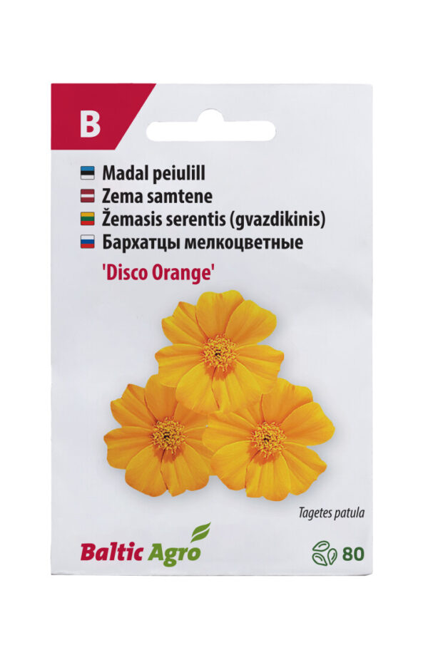 Peiulill 'Disco Orange' 80s