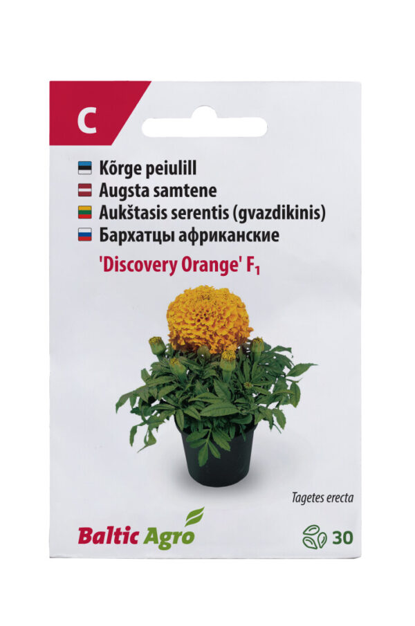 Peiulill 'Discovery Orange' 30s