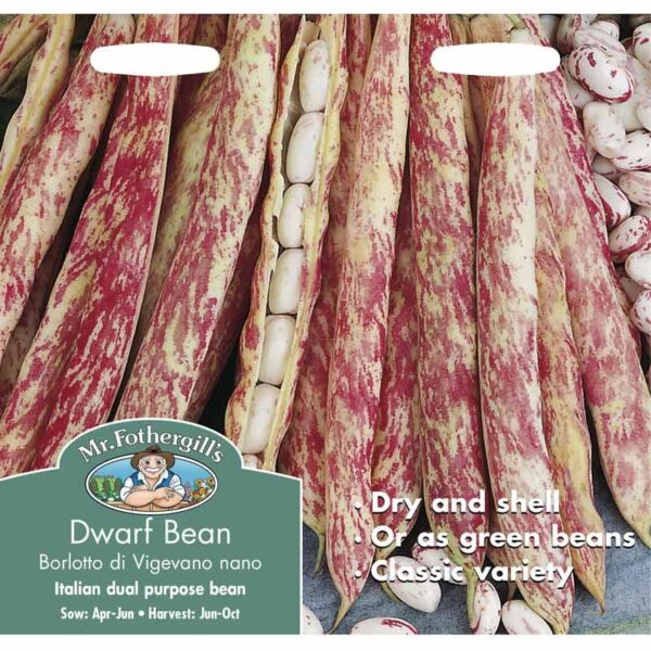 Aeduba 'Borlotto di Vegevano'