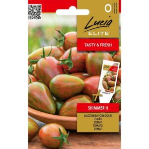 Ploomtomat ‘Shimmer H’