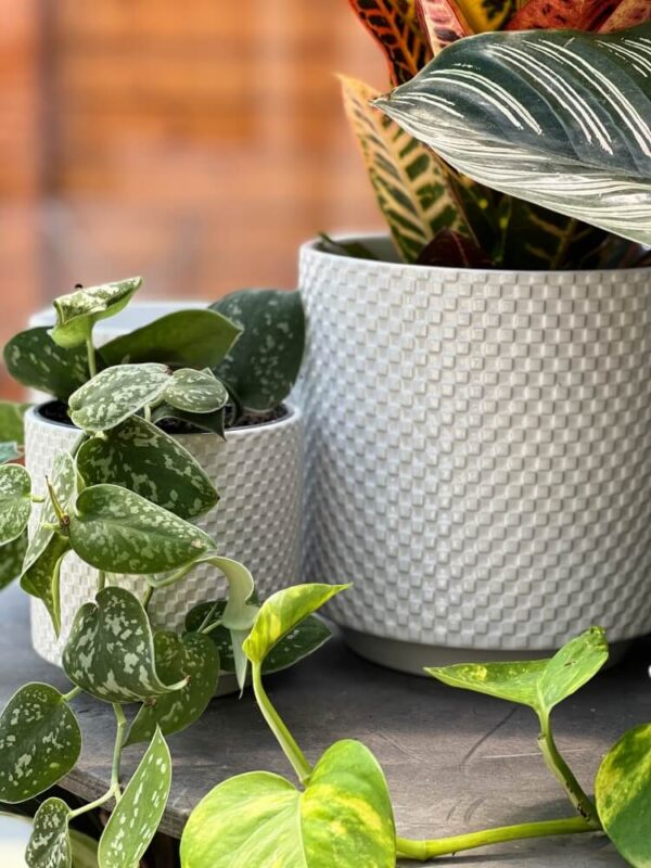 Lillepott Barcelona Ø16x h15cm valge