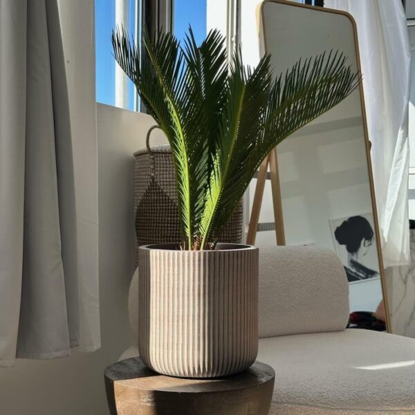 Lillepott Ecolite Ø31x h31cm pruun