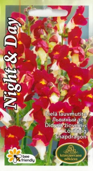 Lõvilõug ‘Night and Day’ 0,2g