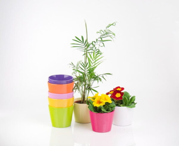 Lillepott Priimula Ø13x h10cm münt