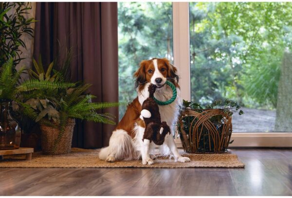 Mänguasi koerale Jungle Mats 44cm