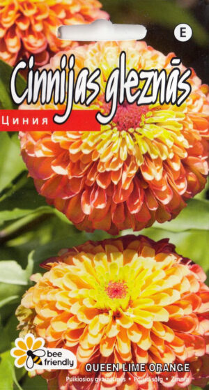 Pruudisõlg ‘Queen Lime Orange’ 0,1g