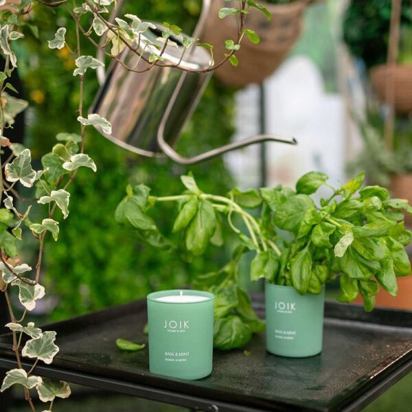 Joik Home & Spa lõhnaküünal Basiilik ja münt 150g