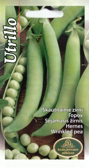 Hernes ‘Utrillo’ 15g