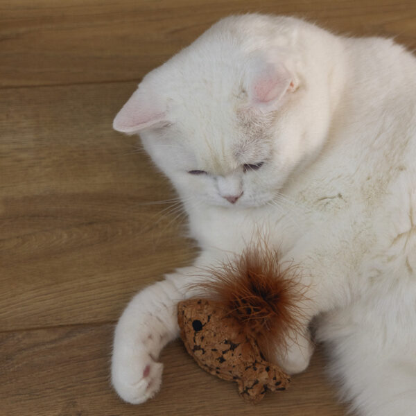 Mänguasi kassile kalake Sadie 2tk