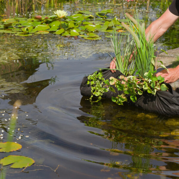 Kott Ubbink veetaimedele must Ø15x h80cm