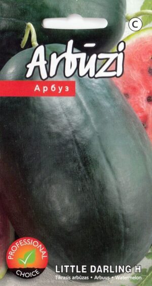 Arbuus ‘Little Darling’ H 5s