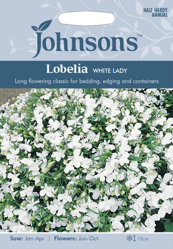 Lobeelia 'White Lady' 2500s