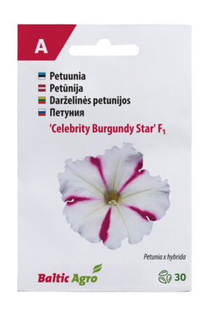 Kompaktne petuunia ‘Celebrity Burgundy Star’ F1 30s