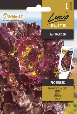 Lehtsalat ‘Florinred’ 25s