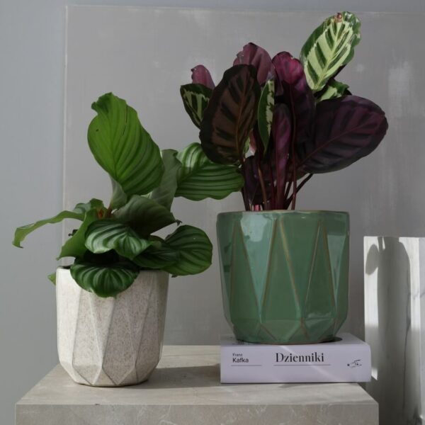 Lillepott Mood Ø19x h19cm roheline