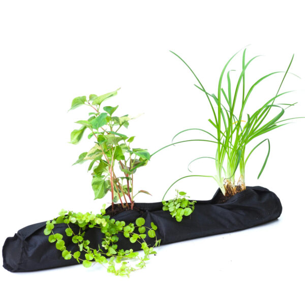 Kott Ubbink veetaimedele must Ø15x h80cm