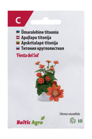 Titoonia ‘Fiesta del Sol’ 10s