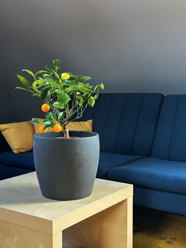 Lillepott Vintage Ø27x h25cm hall