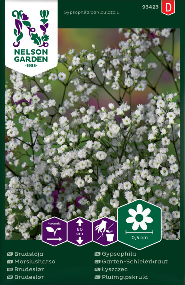 Pööris-kipslill valgeõieline