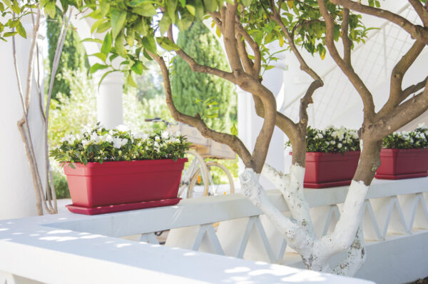 Rõdukast Venezia L 80cm valge