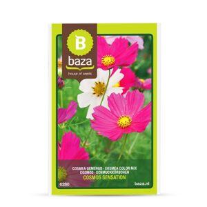 Kosmos ‘Sensation’ 1g