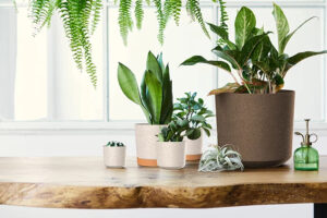 Lillepott Tubo P Eco Wood Ø12,8x h12,7cm valge