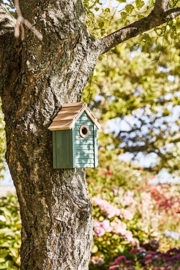 Linnumaja männipuidust roheline 18x12x h26cm