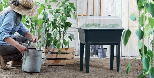 Kasvatuskast jalgadega Respana Ecoline hall 75cm