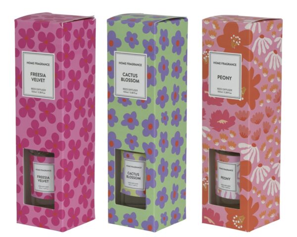 Difuuser 100ml erinevad 1tk