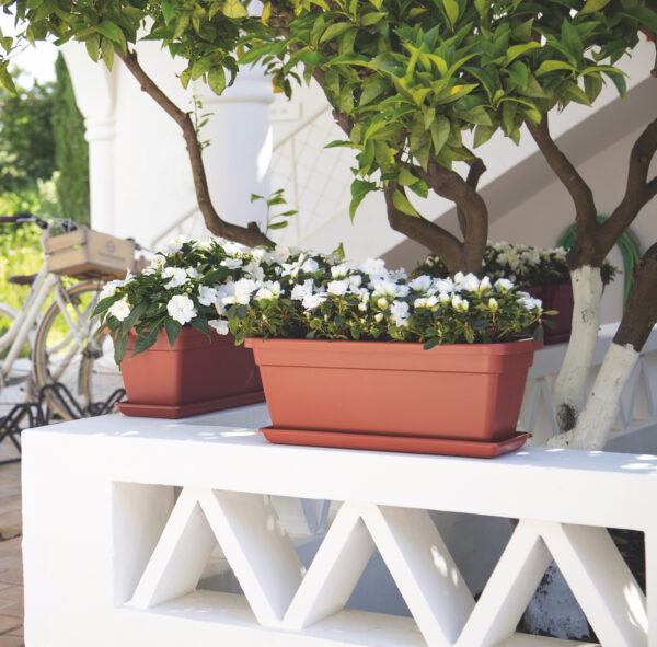 Rõdukast Venezia L 60cm valge