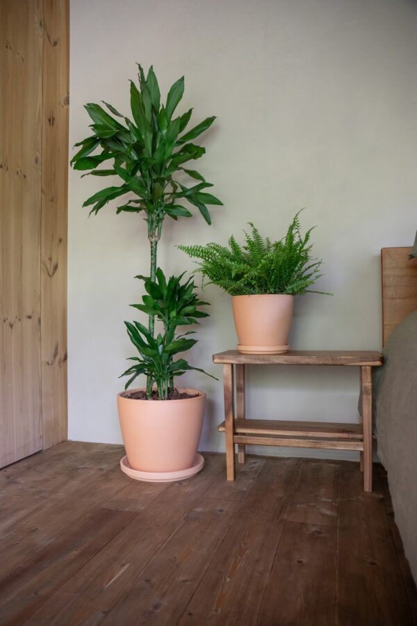 Savipoti alus Artevasi Ø11cm helepruun