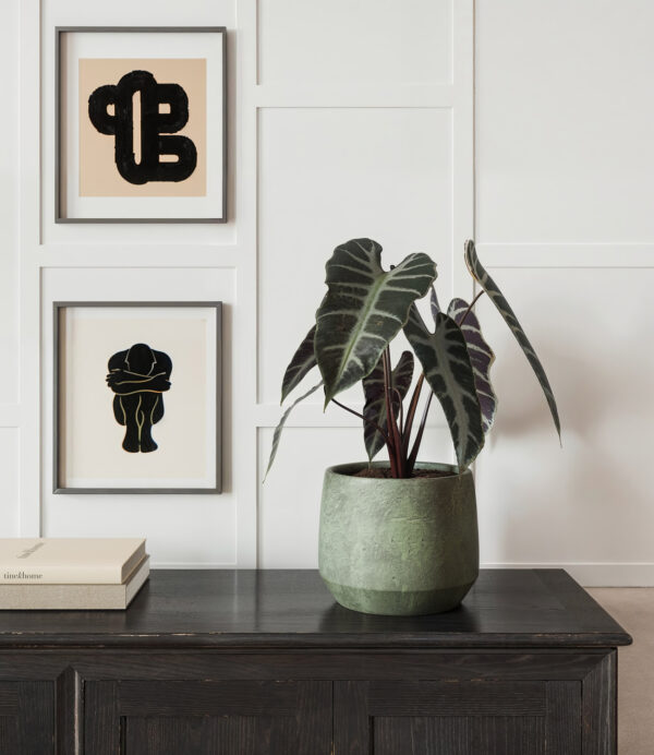 Lillepott Venus Ø19cm roheline