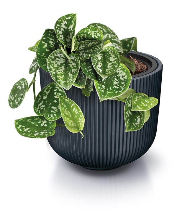 Lillepott Milly Ø29,8x h25,7cm antrasiit