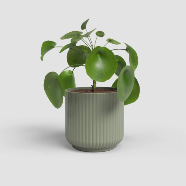 Lillepott Luna Ø15cm roheline