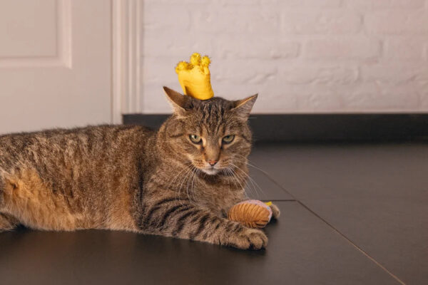 Mänguasi kassile Cupcake & Crown 10x8cm 2tk