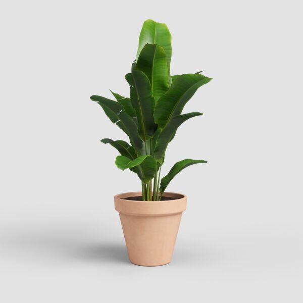 Savipott Artevasi Amalia Ø25 helepruun