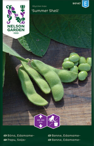 Põldsoja ‘Summer Shell’