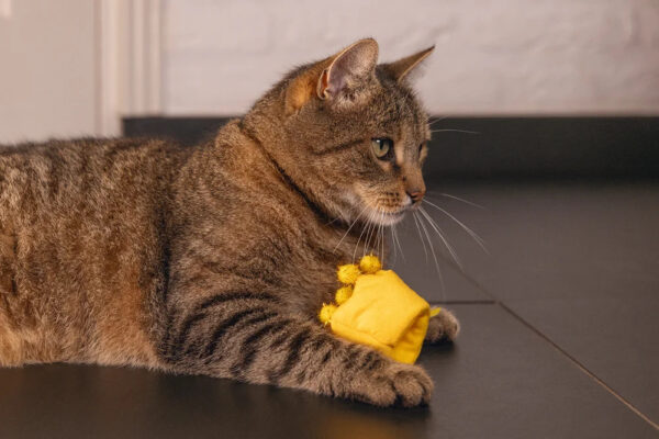 Mänguasi kassile Cupcake & Crown 10x8cm 2tk