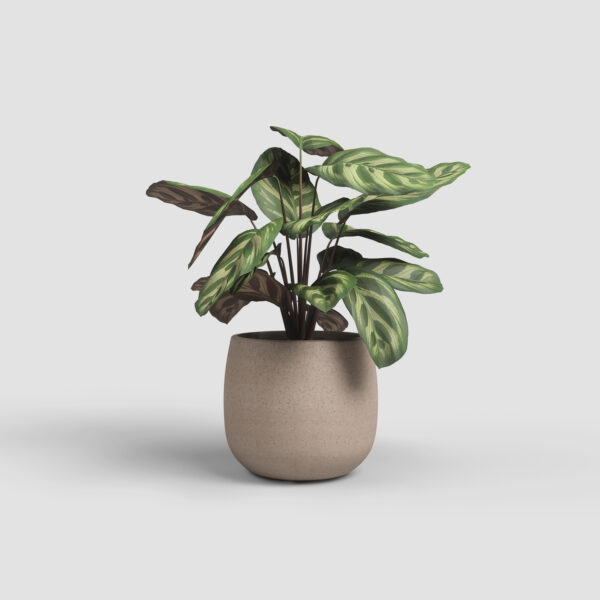 Lillepott Hemera Ø20cm helepruun