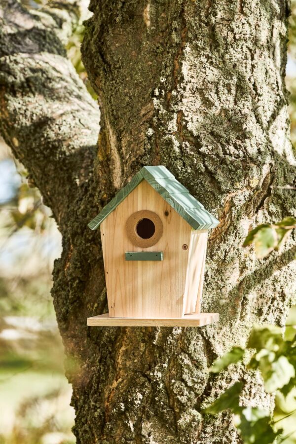 Linnumaja männipuidust pruun/roheline 16x14x h22cm