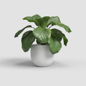 Lillepott Aura Ø16cm valge