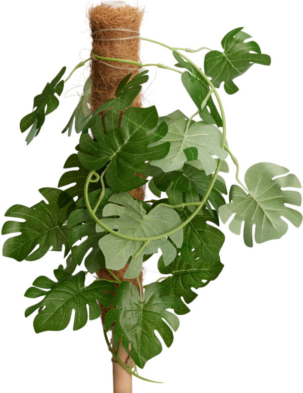 Taimetugi kaetud kookosega 40cm