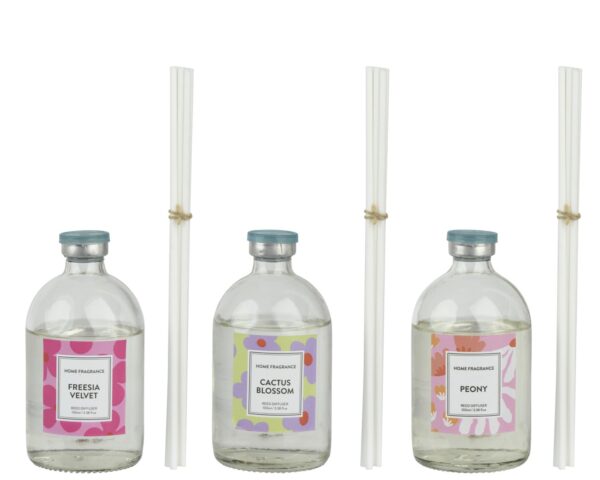 Difuuser 100ml erinevad 1tk