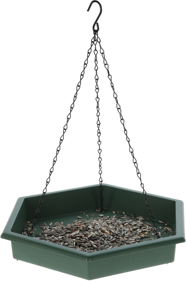 Linnusöögialus + vann