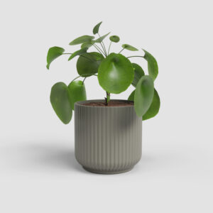 Lillepott Luna Ø12cm beež
