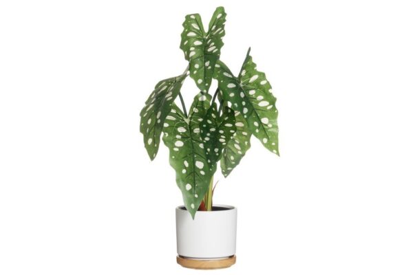 Lillepott Rimma Ø14x h13cm värvivalik 1tk