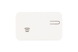 Vingugaasiandur Tarmo